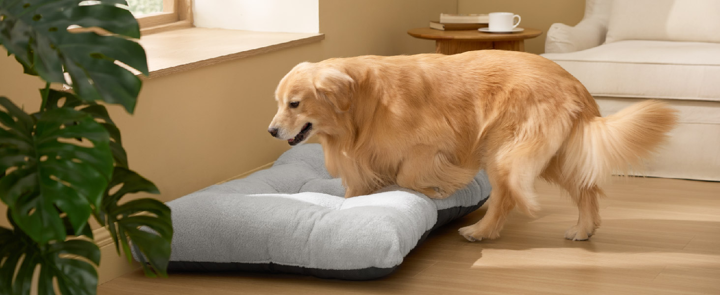 Washable Dog Crate Bed for Large Dogs Comfort Fluffy Pet Mat