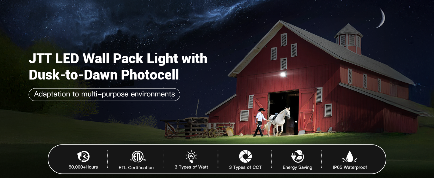 JTT LED Wall Pack Light