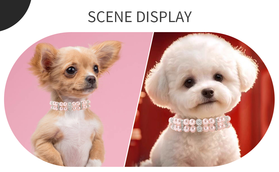 Small Dog Collar