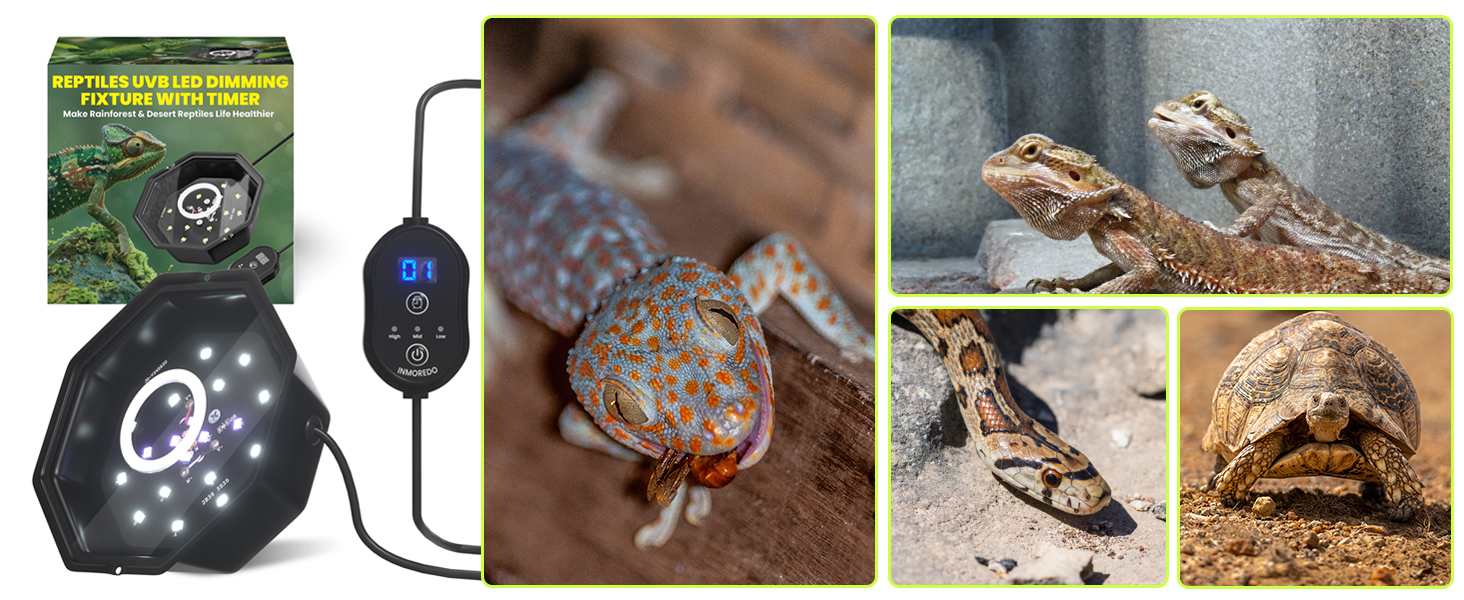 uvb reptile light fixture