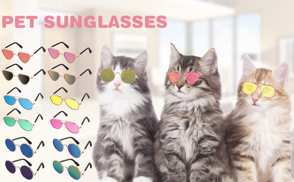 Molain Cat Sonnenbrille