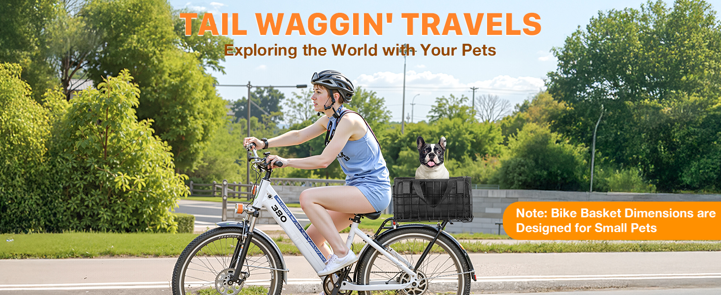 bicycle baskets for adult bikes women