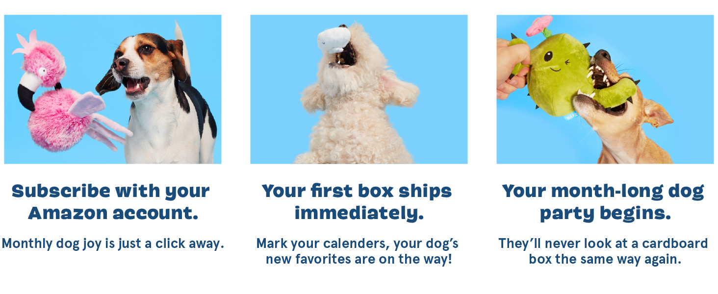 BarkBox Monthly Subscription Box, Dog Chew Toys, All
