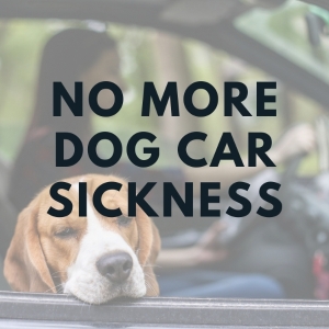 No More Dog Car Sickness