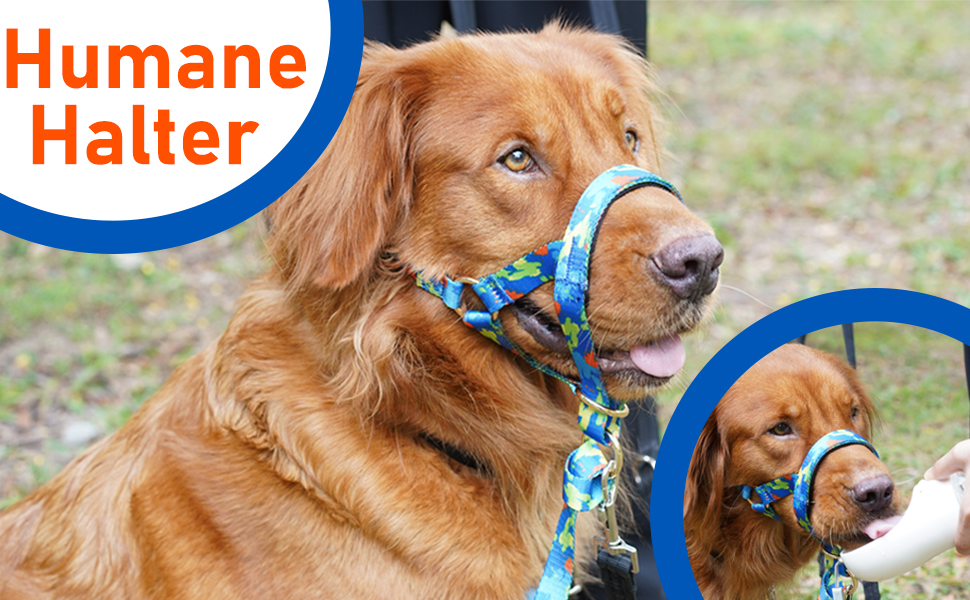 Head Collar for Dogs, No Pull Printed Mouth Harness