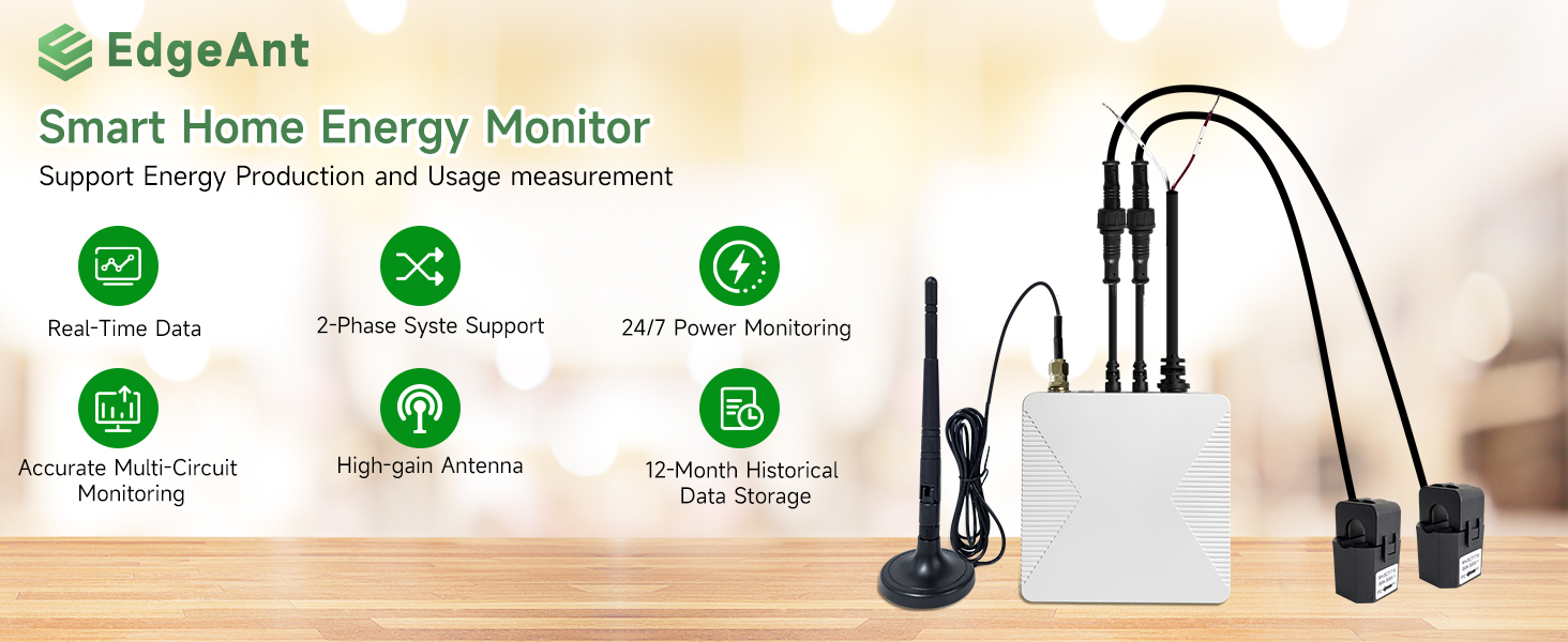 energy monitor