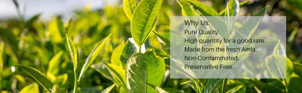 Large manufacture image 2