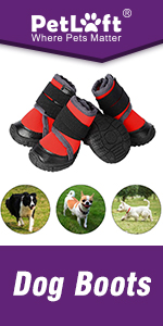 Dog Boots