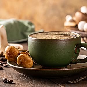 3efb7867-24e1-477c-8286-634652a572fa.__CR0,0,1500,1500_PT0_SX300_V1___ Organic Mushroom Coffee, 10oz – 10 Adaptogenic Mushrooms with Arabica Coffee + MCT Oil for Smooth Flavor – Turkey Tail, Lions Mane, Cordyceps, Chaga, Reishi – Immune, Energy,& Brain Support Supplement