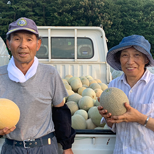 Amazon.co.jp: 藤農園 屏風山地帯メロン タカミメロン ｜ 青森県