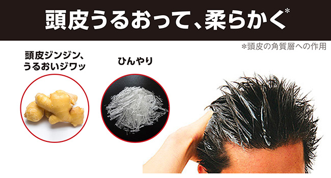 PRO TEC(プロテク)頭皮ストレッチ シャンプー 詰め替え230g×12個 Amazon | PRO TEC(プロテク) 頭皮ストレッチ シャンプー