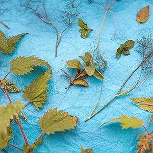 wild mint tea ingredients