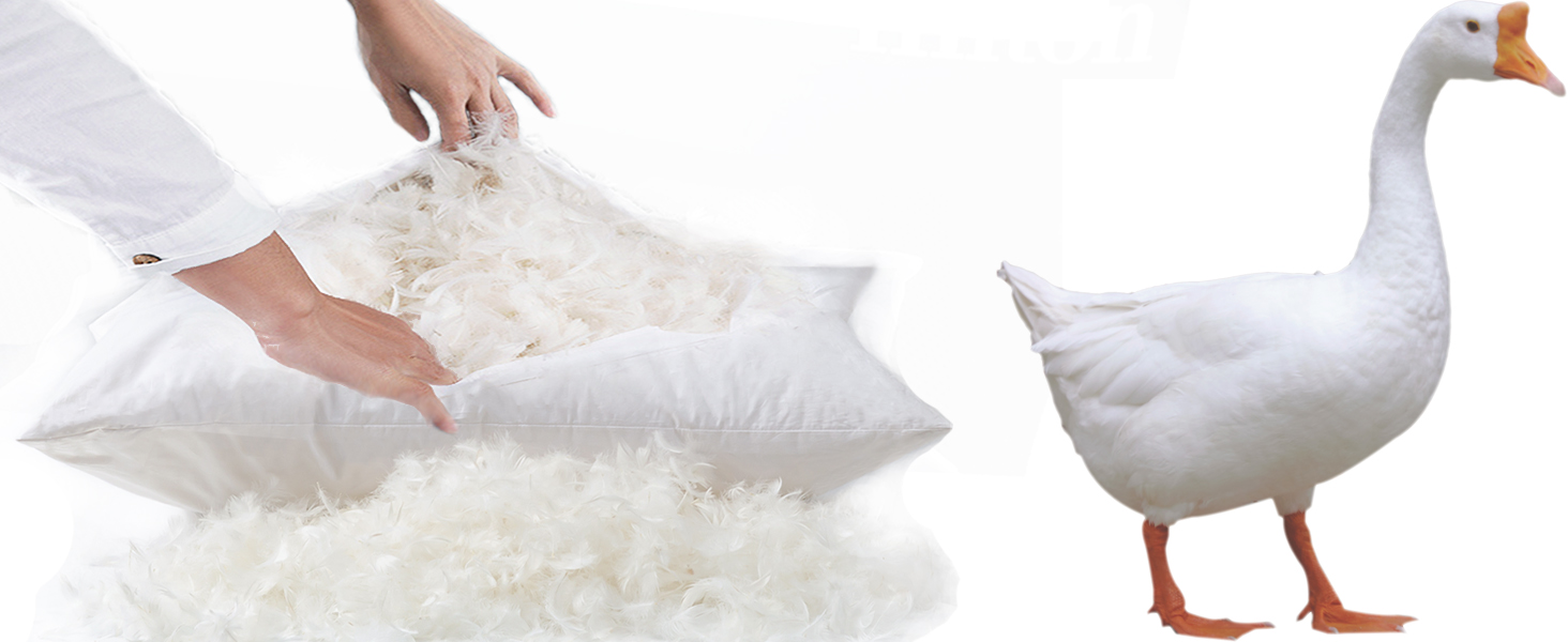 Acteb Basic Goose Down Feather Pillows Standard Size Set of
