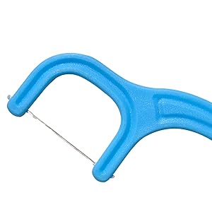 dental flosser