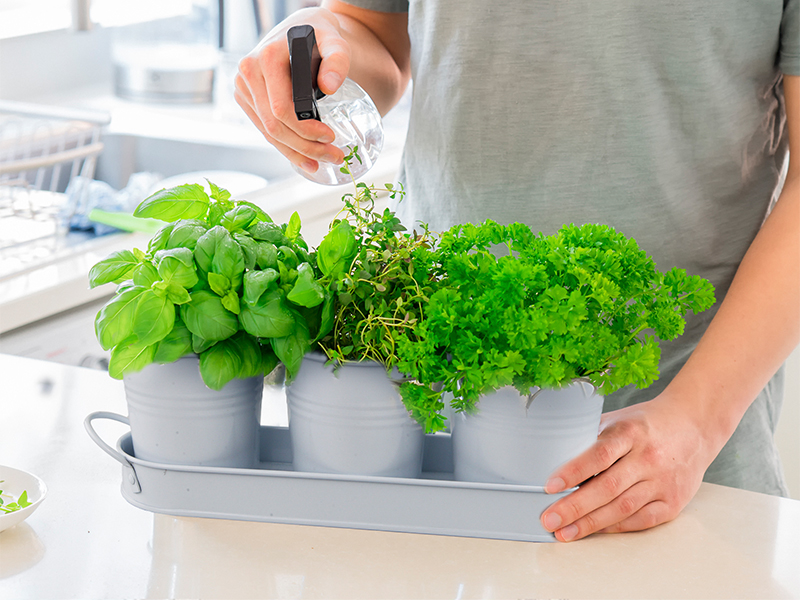 Versatile for Any Area