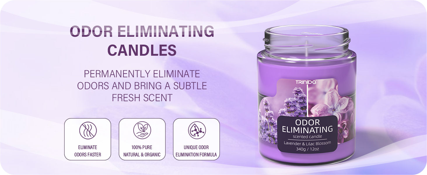 Lavender & Lilac Blossom Scented Odor Eliminating Candles Gifts for