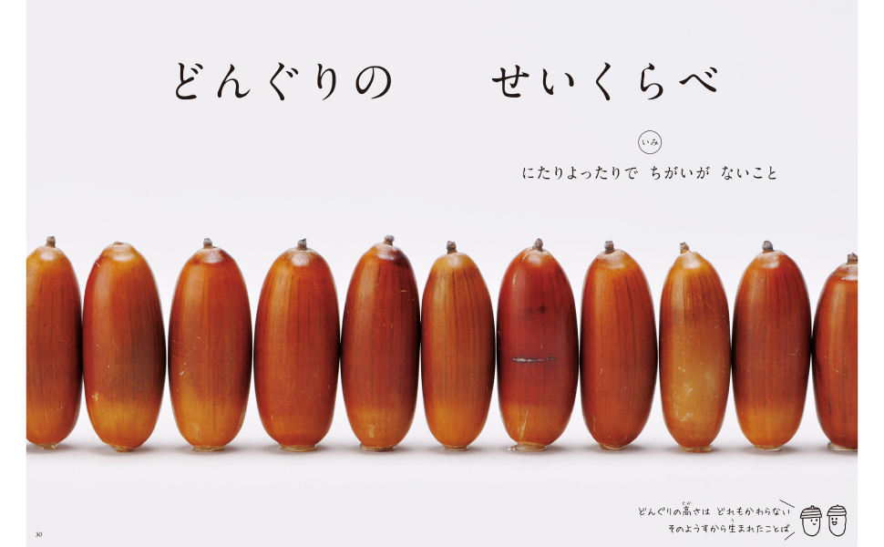 どんぐりのせいくらべ 似たり寄ったり