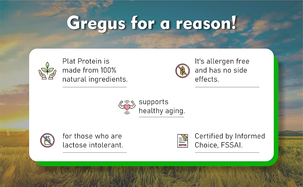 protein powder chocolate flavour whey protein powder chocolate flavour vegan protein powder