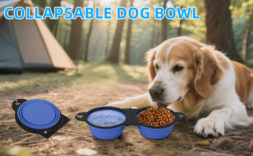 travel dog water bowl