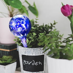 Plant Watering Spheres Globes Outdoor Garden Pot Waterers Glass Colourful