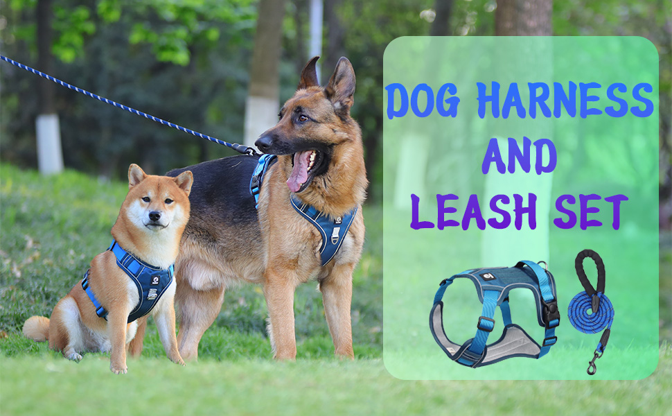 AKEISHE Dog Harness and Leash Set with Handle Adjustable