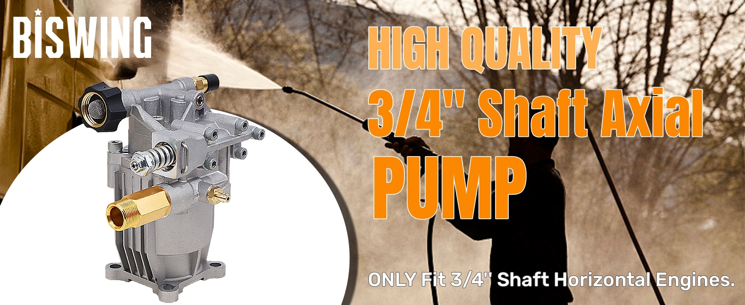 Pumpa della rondella di pressione biswing, 3/4" Plunger assiale orizzontale dell