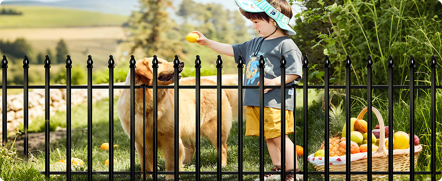 dog fence