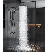 All Metal Rain Shower Head with Handheld Spray Combo, 10