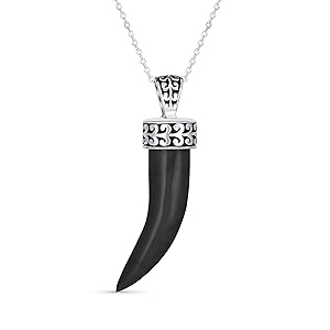 Amazon.com: Protection Tooth Amulet Black Onyx Gemstone Cornicello