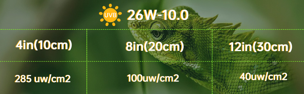 uvb lampe terrarium