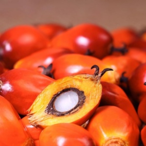 hair care serum dry damaged hair leave in conditioner damaged hair hair conditioner damaged hair