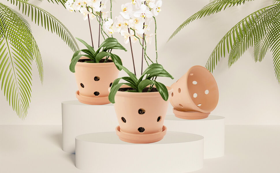 vensovo 6 Inch Terracotta Orchid Pots with Holes and Saucers 3 Pcs Small Clay
