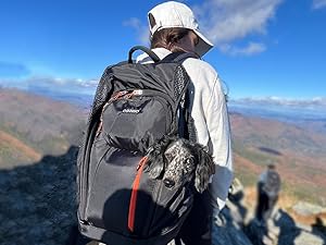 Best pet backpack carrier hiking and outdoor adventures best dog carrier backpack for hiking