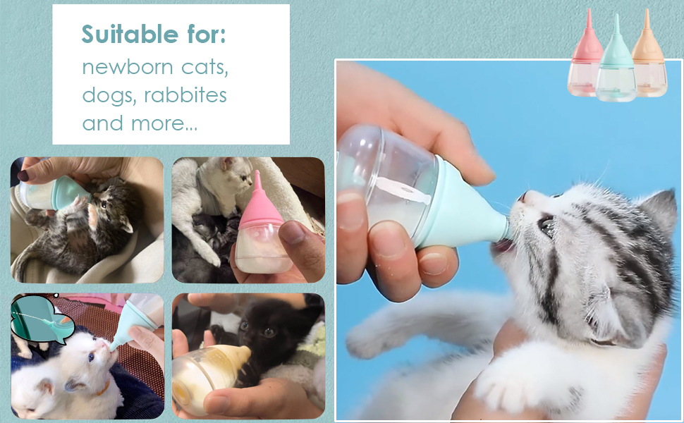 Amazon.com : Kitten Bottle Feeding Kit for Nursing, Kitten Milk Bottles