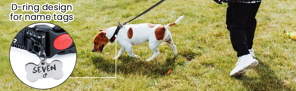 Half Dog Choke Collar 