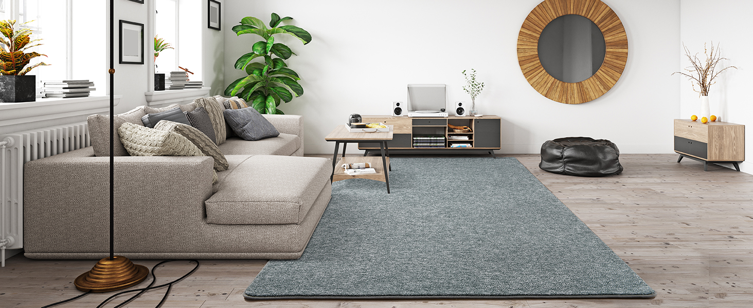 Keeko 4x6 Area Rugs for Living Room, Soft Modern Memory