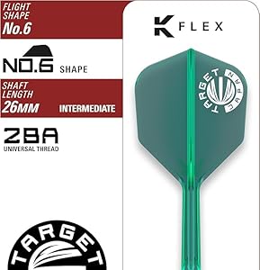 TARGET THE MIRACLE G6 鈴木未来 ターゲット ザ ミラクル ターゲット】ザ・ミラクルG6 スイスポイント スティール23g 鈴木未来