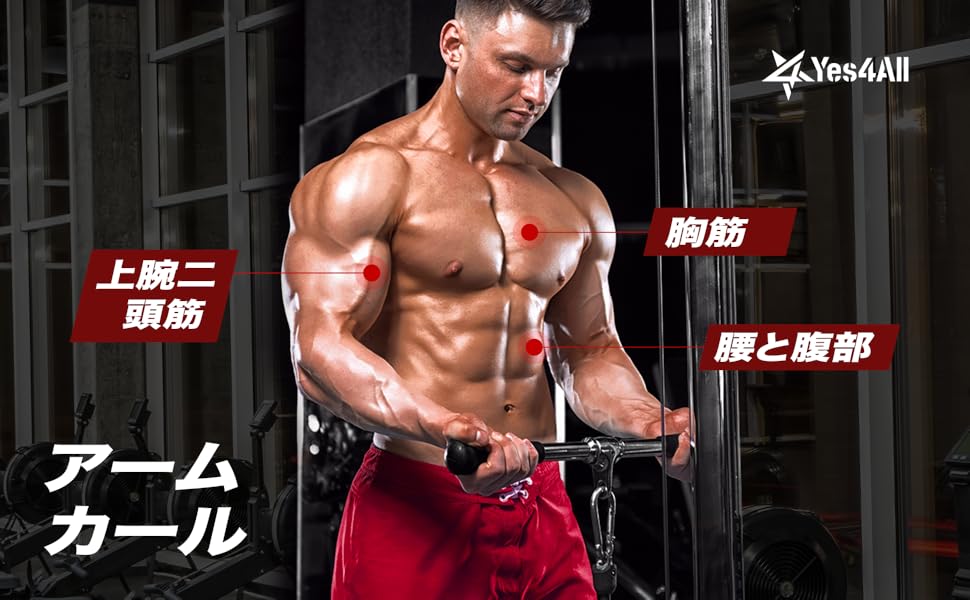 フィトネス筋トレアタッチメント7点 WILD FIT ワイルドフィット プロ4セット (アタッチメント4点