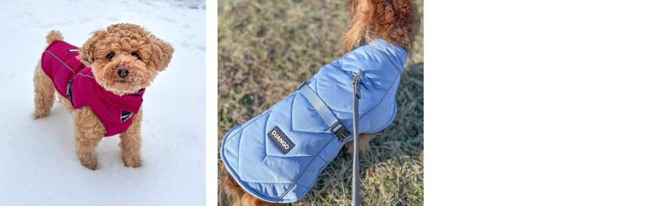 DJANGO Whistler Winter Dog Coat - Insulated winter dog coat and adjustable puffer dog coat