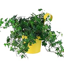 Balcony Planters Railing Hanging