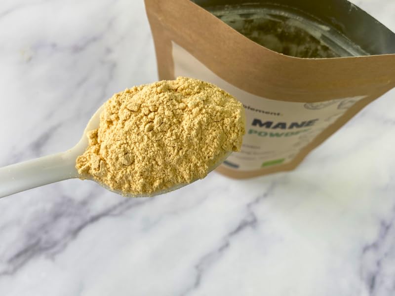 lions mane poudre powder mushroom champignon supplement cupplement superfood
