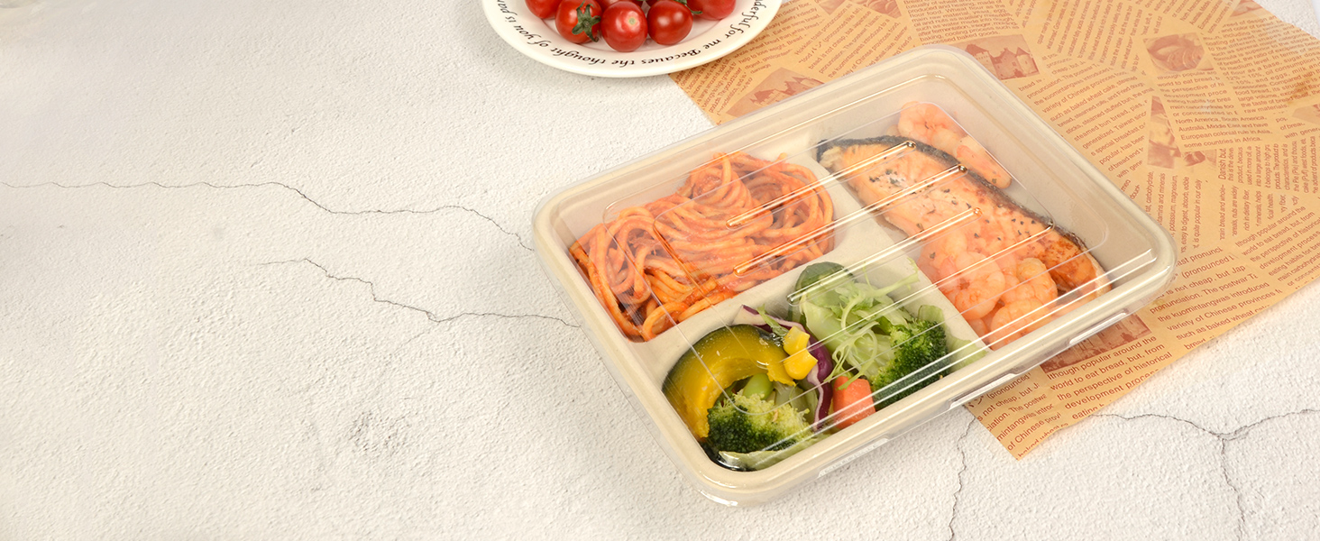 compartment trays with lids 3 compartment food containers 3 compartment plates with lids