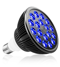 Blue Light Bulb