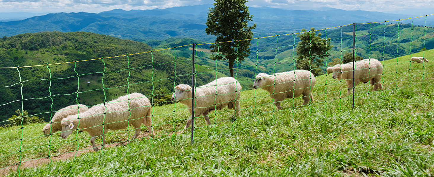 Large manufacture image 5