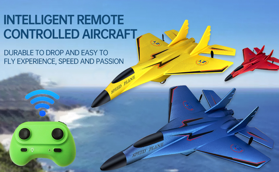 Remote Control Airplane