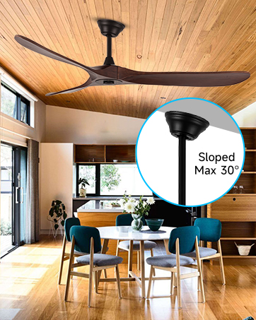 Ceiling Fan with Remote