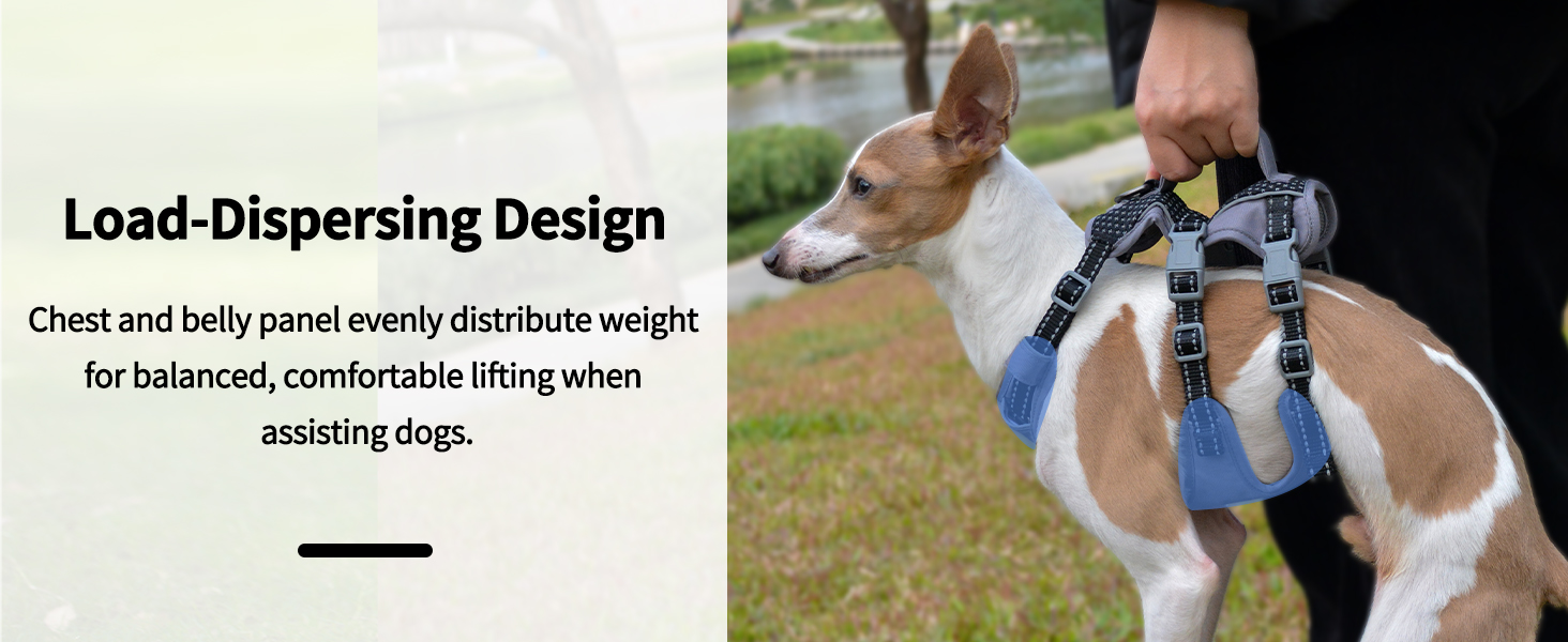 dog harness with handle 