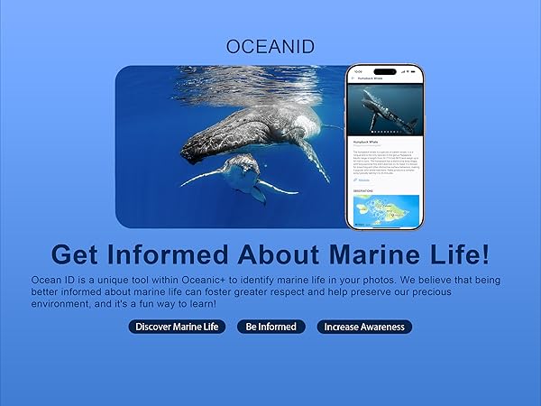 iPhone - オーシャン Sea Turtle iPhone Case — Max Charters - Sailing - Snorkeling