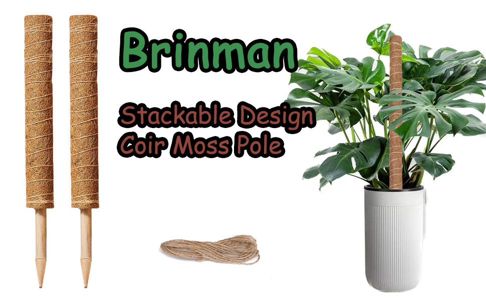 Amazon.com : Moss Pole - 2 Pack: 17 Inch Coir Plant Support