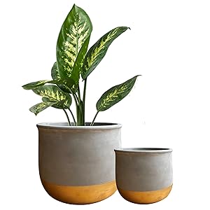 gold dip plant pots